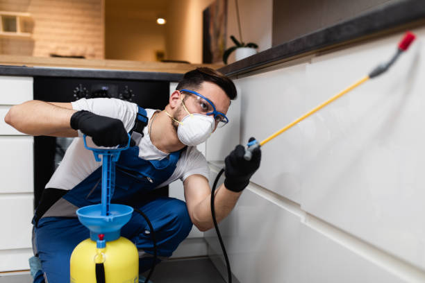 Best Rat Extermination Near Me  in Monrovia, IN