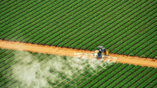 Best Pest Removal Services  in Monrovia, IN