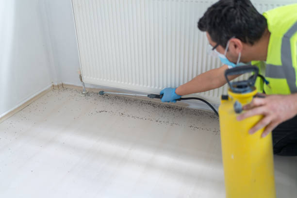 Best Ant Control Services  in Monrovia, IN