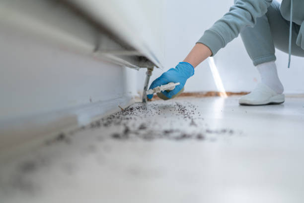 Best Best Pest Control Companies  in Monrovia, IN
